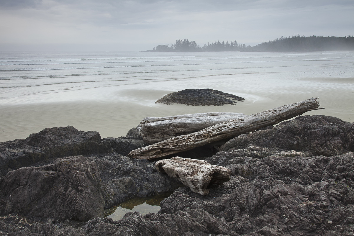 Surf Beach