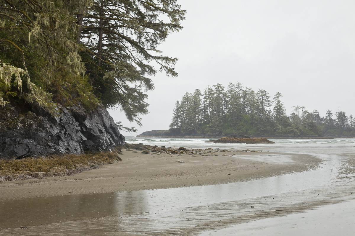 Pacific Rain