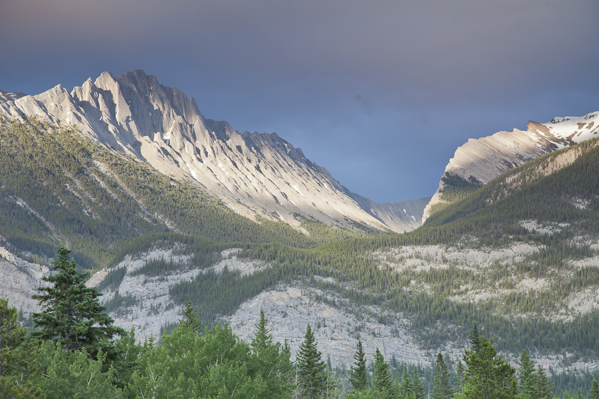 Jasper Range