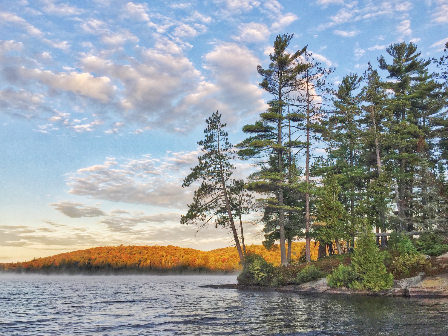 Algonquin Autumn Morn