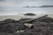 Surf Beach