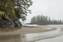 Pacific Rain