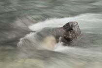 Mountain Stream