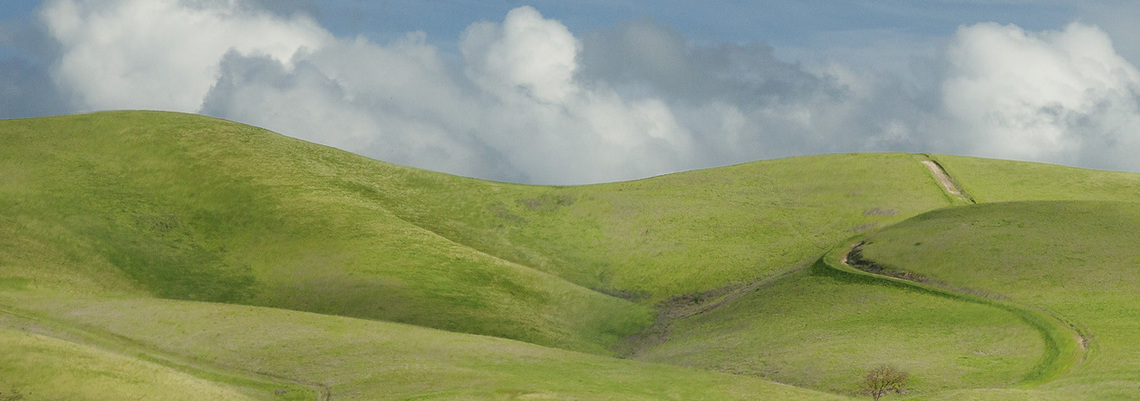 The rain renewed hills near King City California